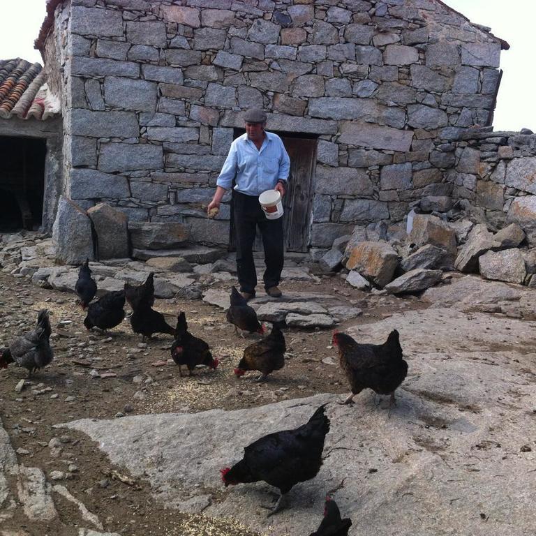 Casa Rural El Linaje De Los Cinco Sombreros Gallegos De San Vicente Luaran gambar